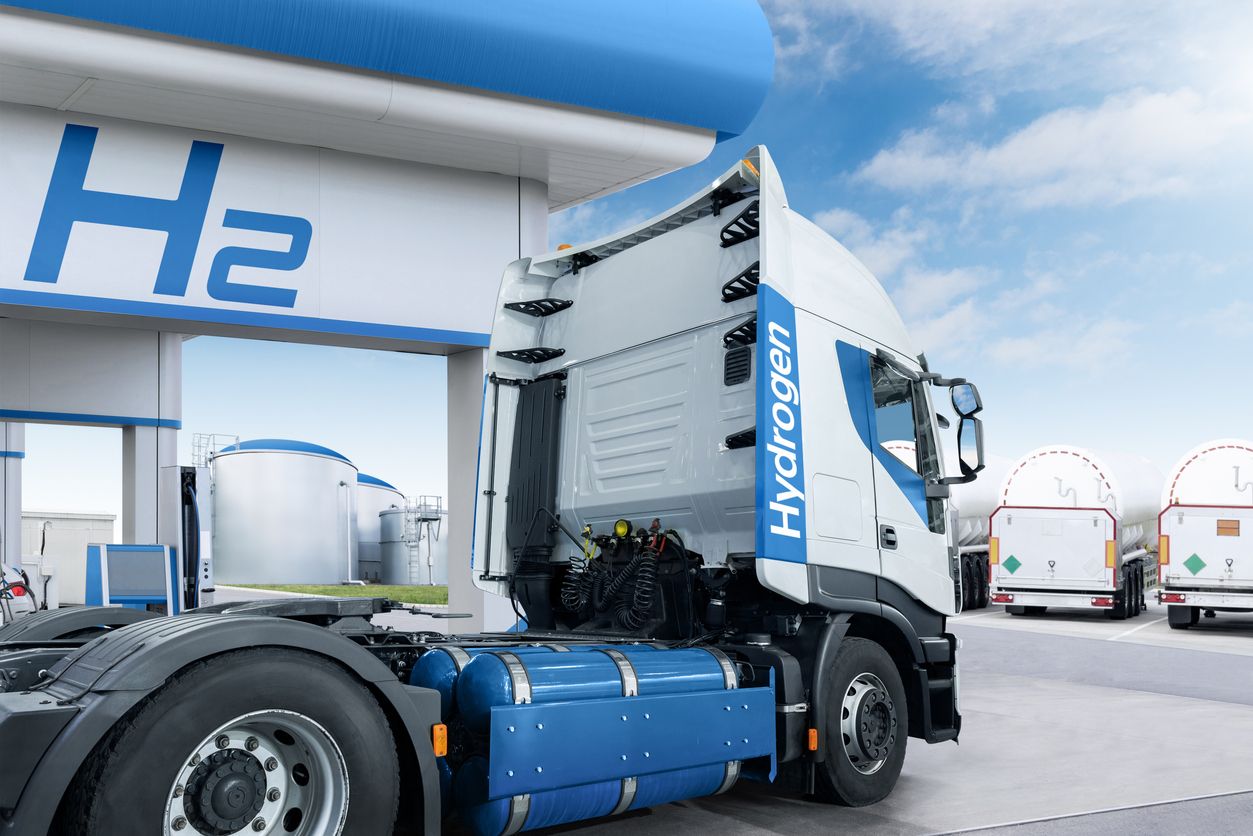 Hydrogen for Heavy-Duty Transport: Economic and Environmental Implications