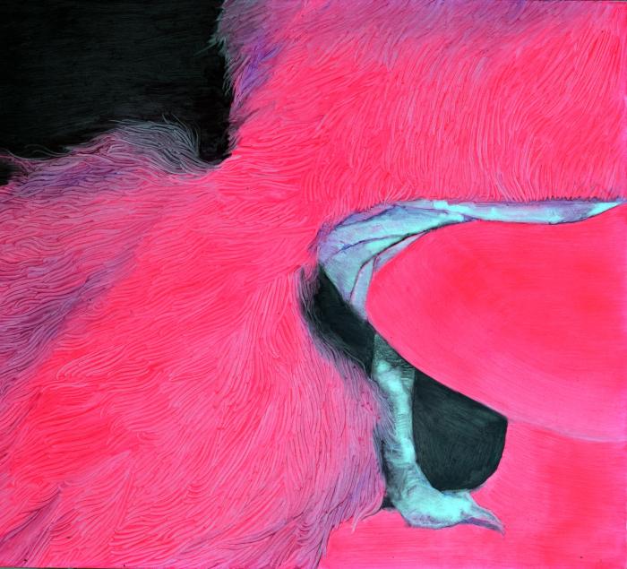 Rose Wing Profile