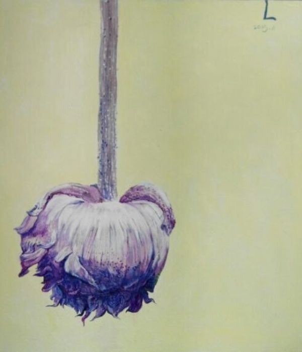 Hanging Purple Bloom