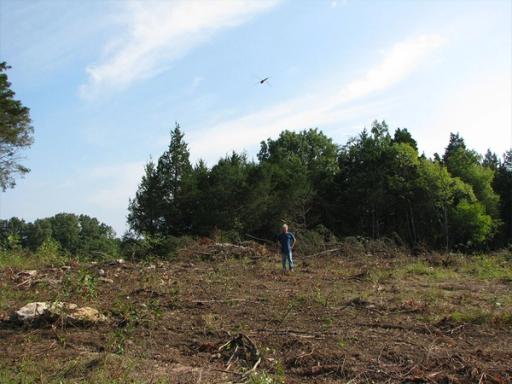 Restoring rocky glade