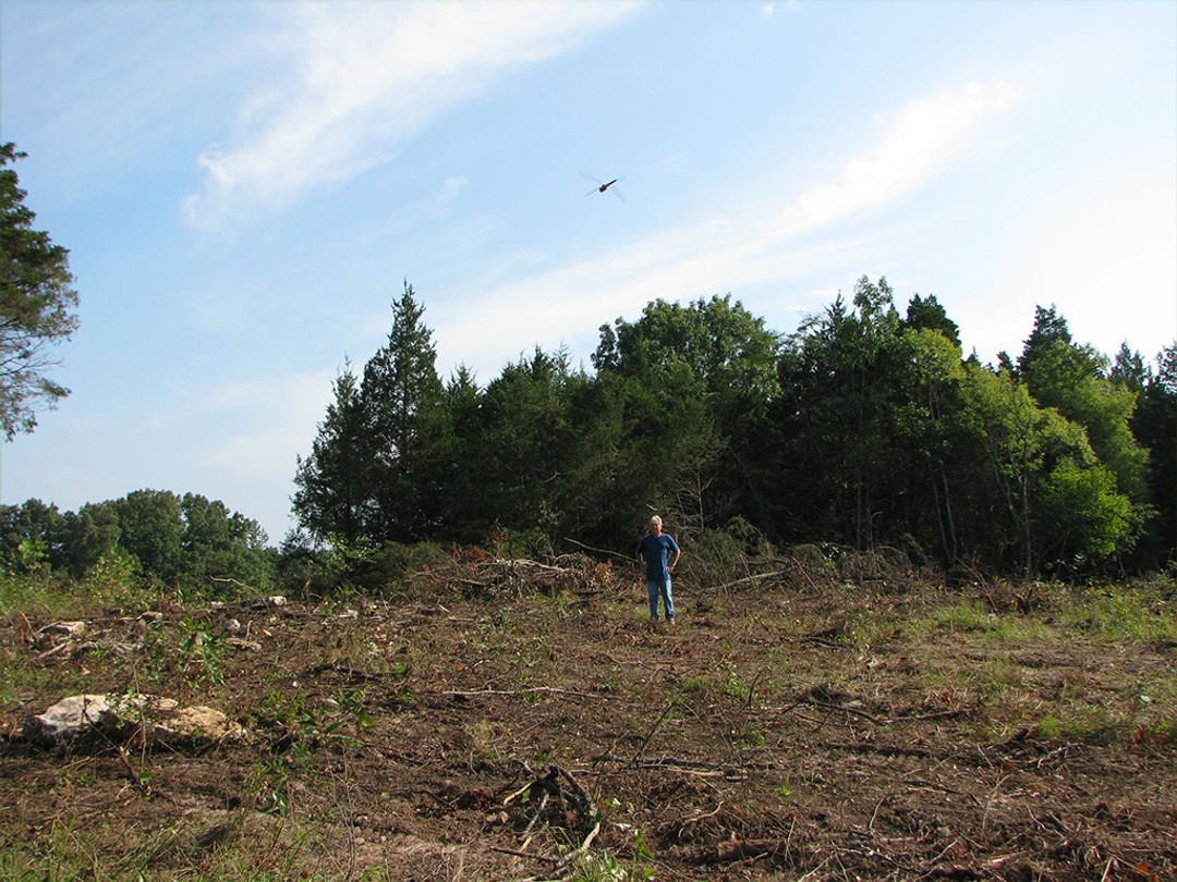 Restoring rocky glade