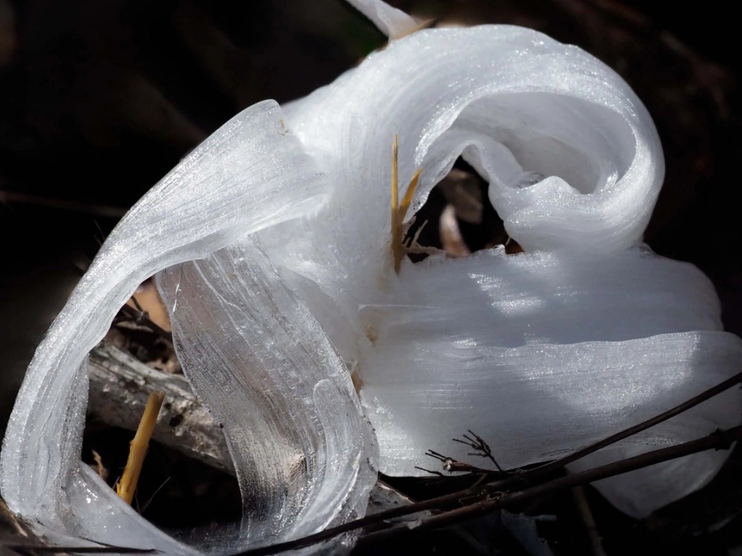 Frost flower