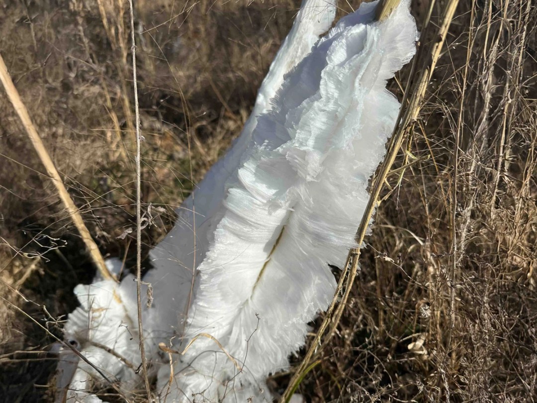 Frost flower