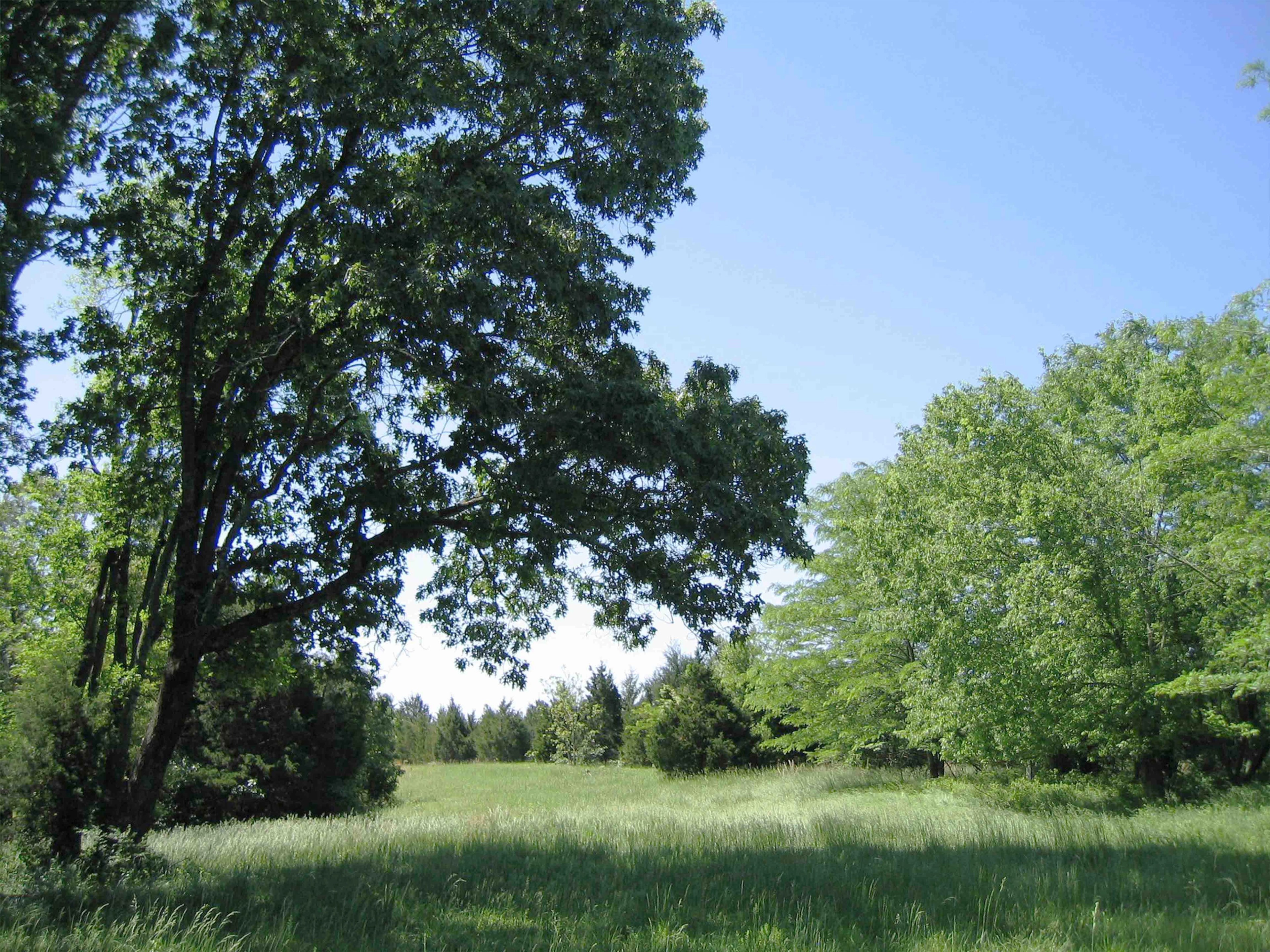 Horseback and hiking trail