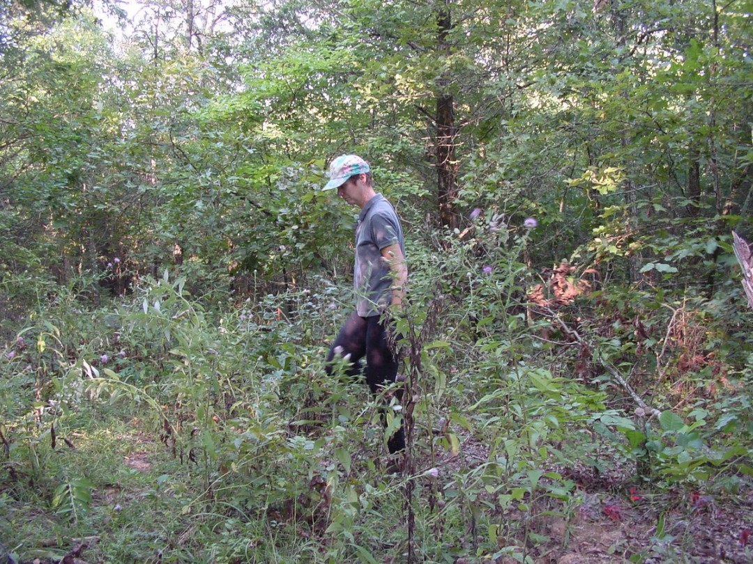 Sorting through existing flora 