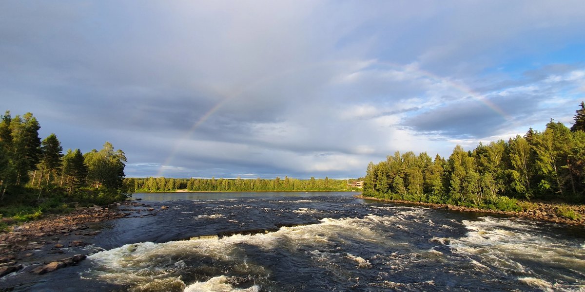 Presentasjoner fra medlemsmøte