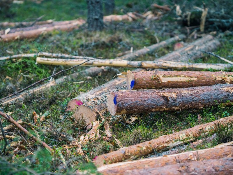 Representantskapets arbeid i 2024