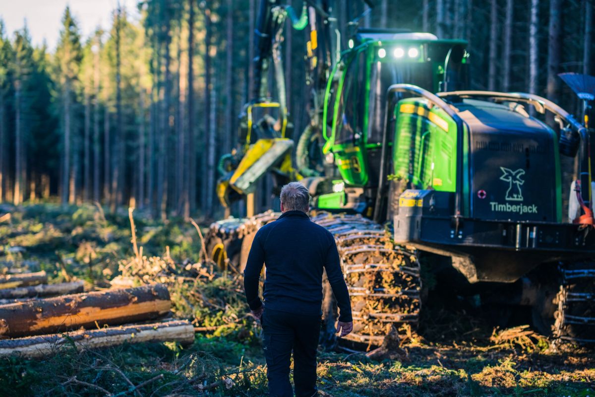 Thumbnail for article "Profilering av MEF skog"