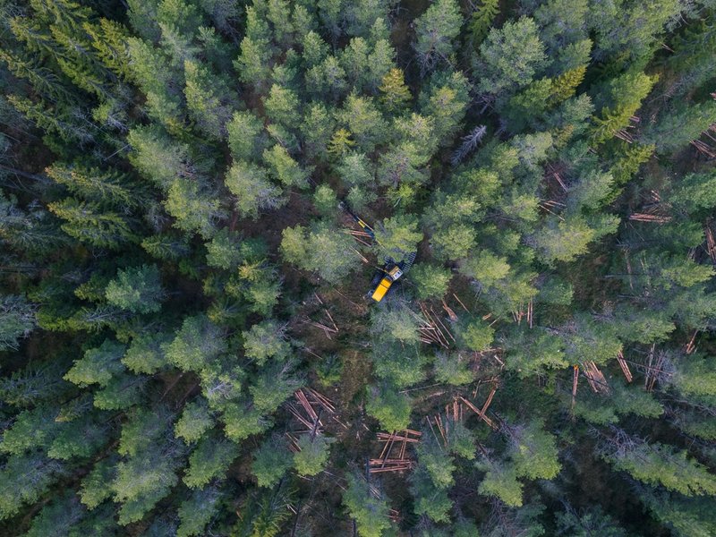 Opptak av tidligere webinar