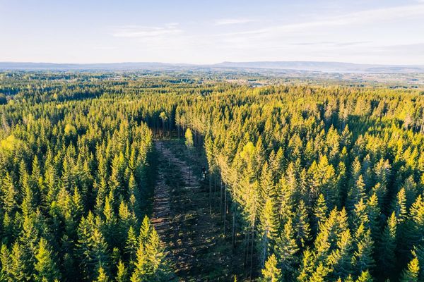 Representantskapet 2024-2025