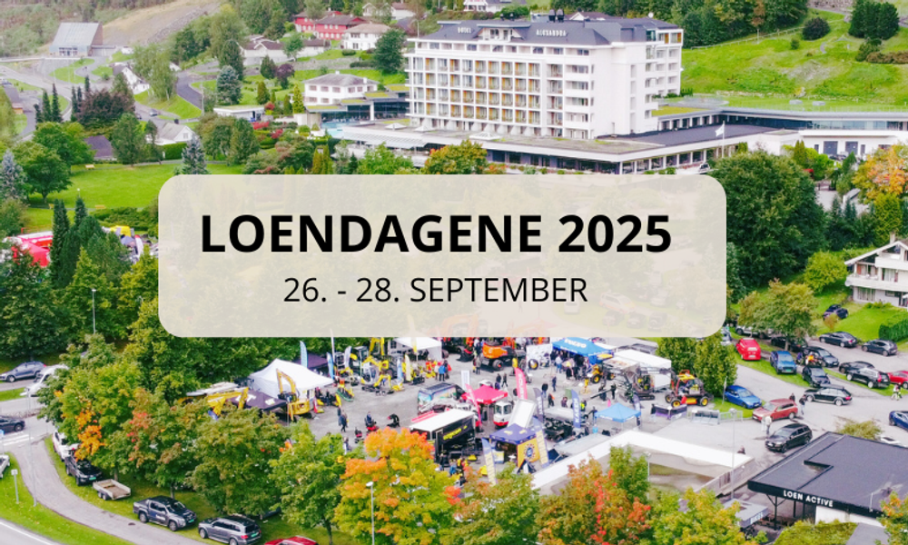 Loendagene