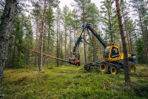 Hva gjør du når betalingen uteblir?