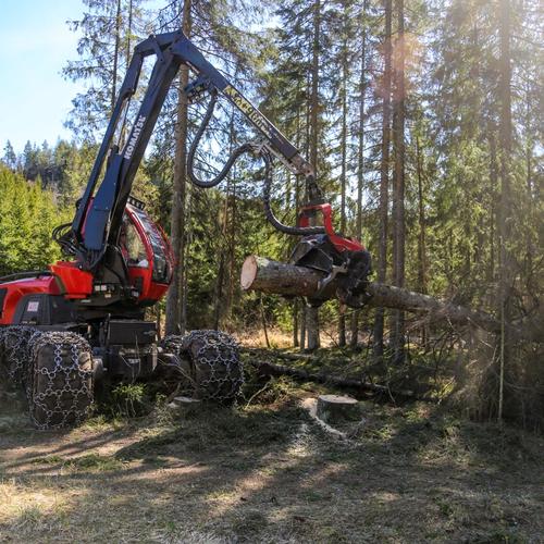 Grensen åpnes igjen for svenske dagpendlere 1. mars