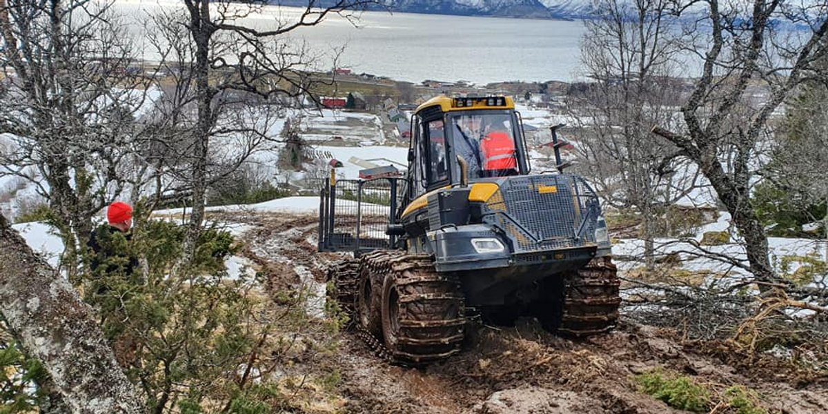 Vellykket skogdag i Sortland