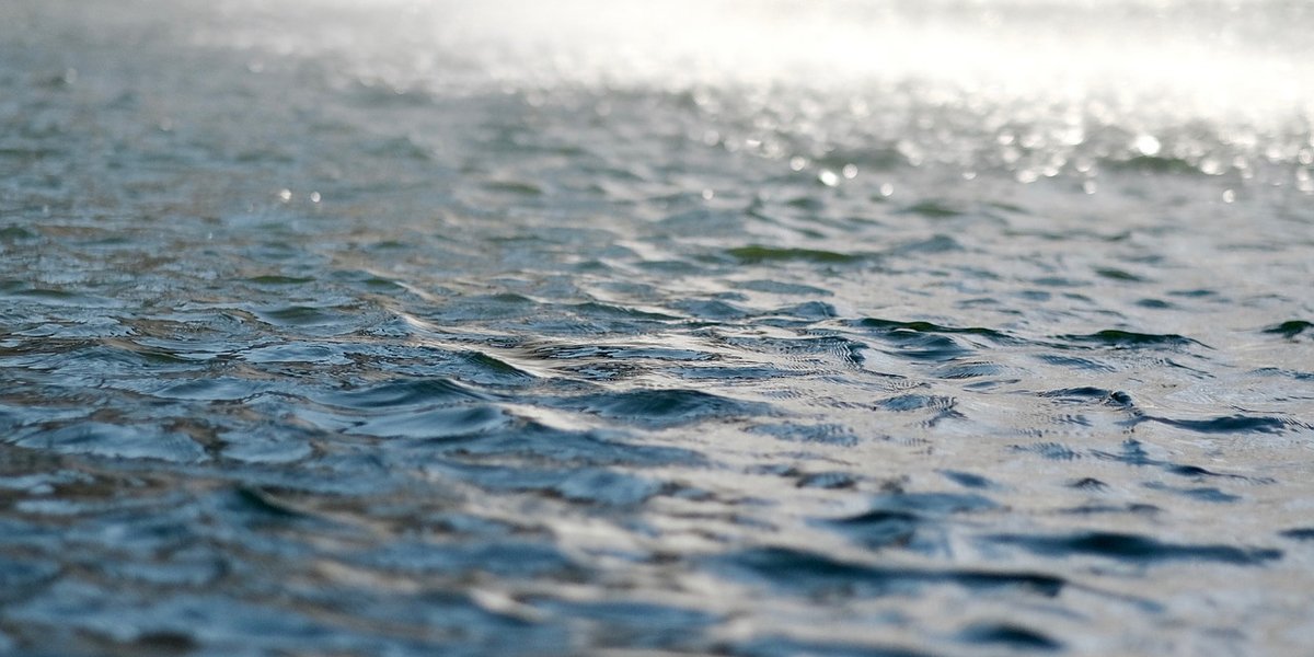 Høringssvar fra MEF