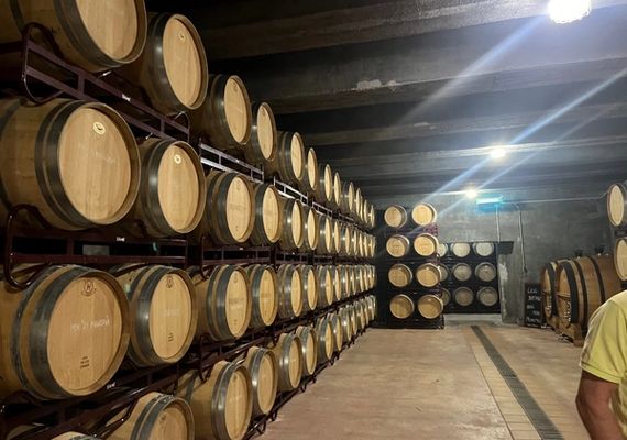 Besøk på lokal vingård