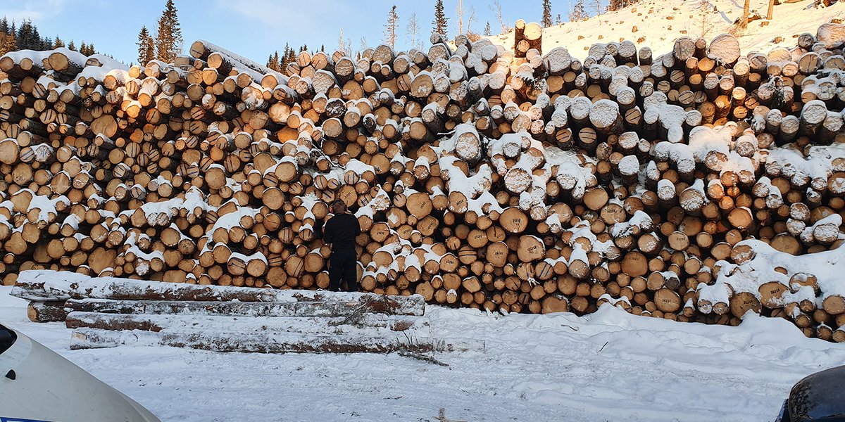 Innspill mot nedleggelse av skogbrukslinje