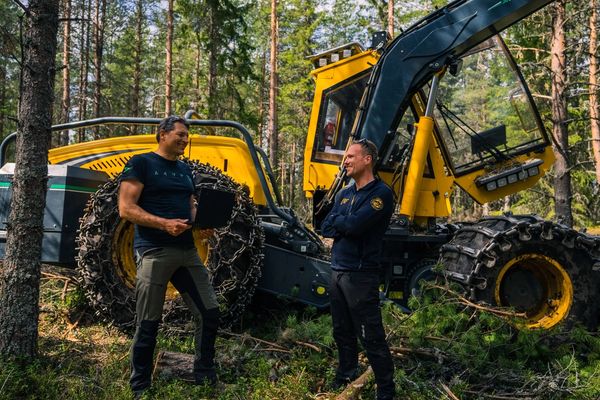 Organisasjonsoversikt