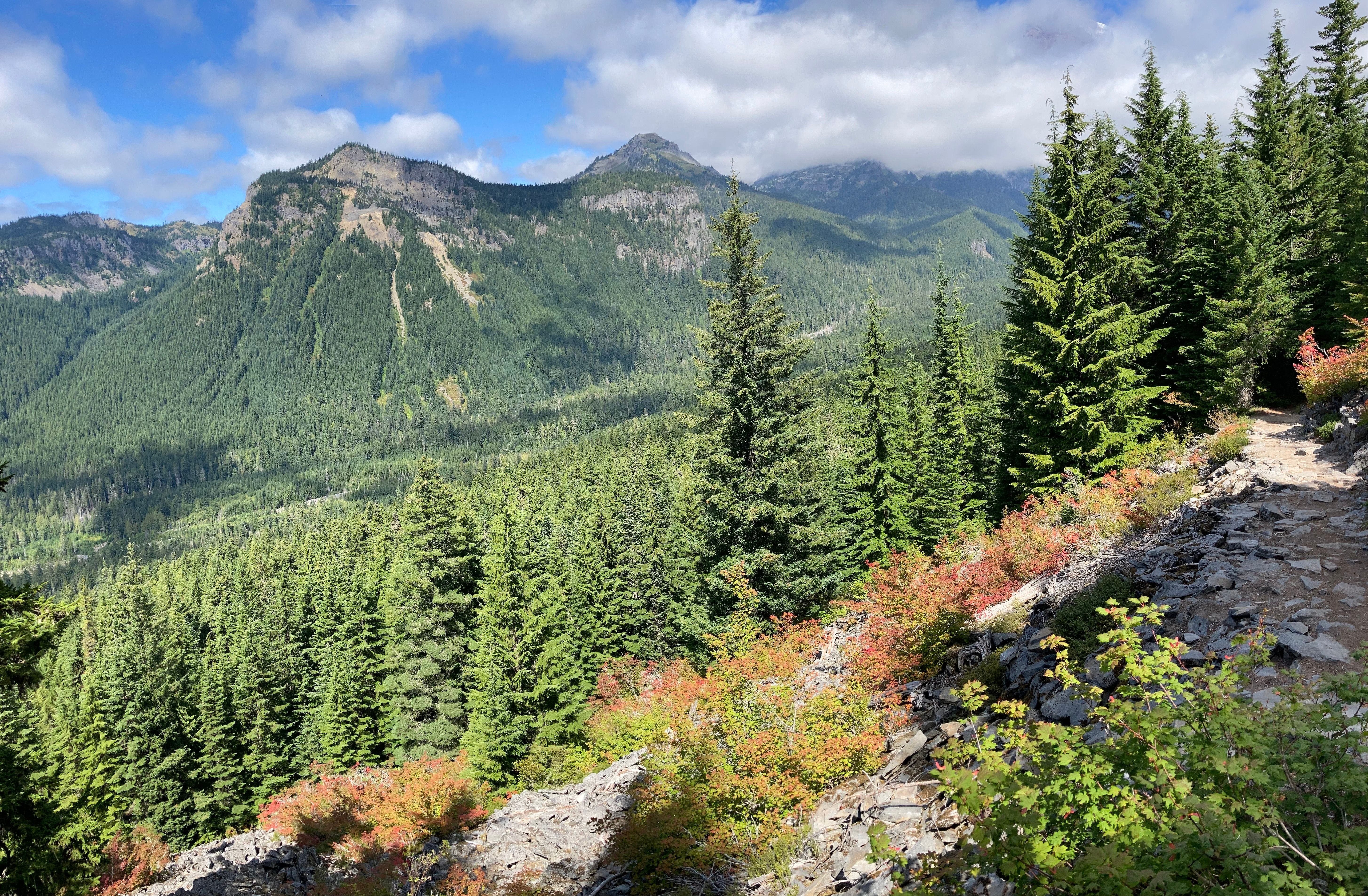 Devil's Dream on the Wonderland Trail | Blog