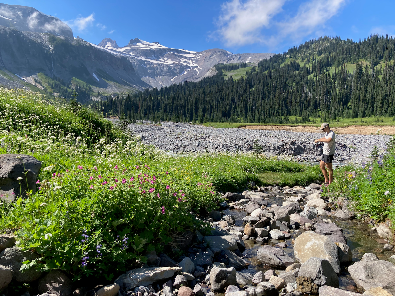 Speak Up About Mount Rainier's Plan to Require Permits for Entry —  Washington Trails Association
