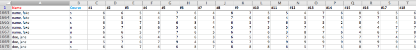 screenshot of spreadsheet showing how names were entered into data transfer spreadsheet