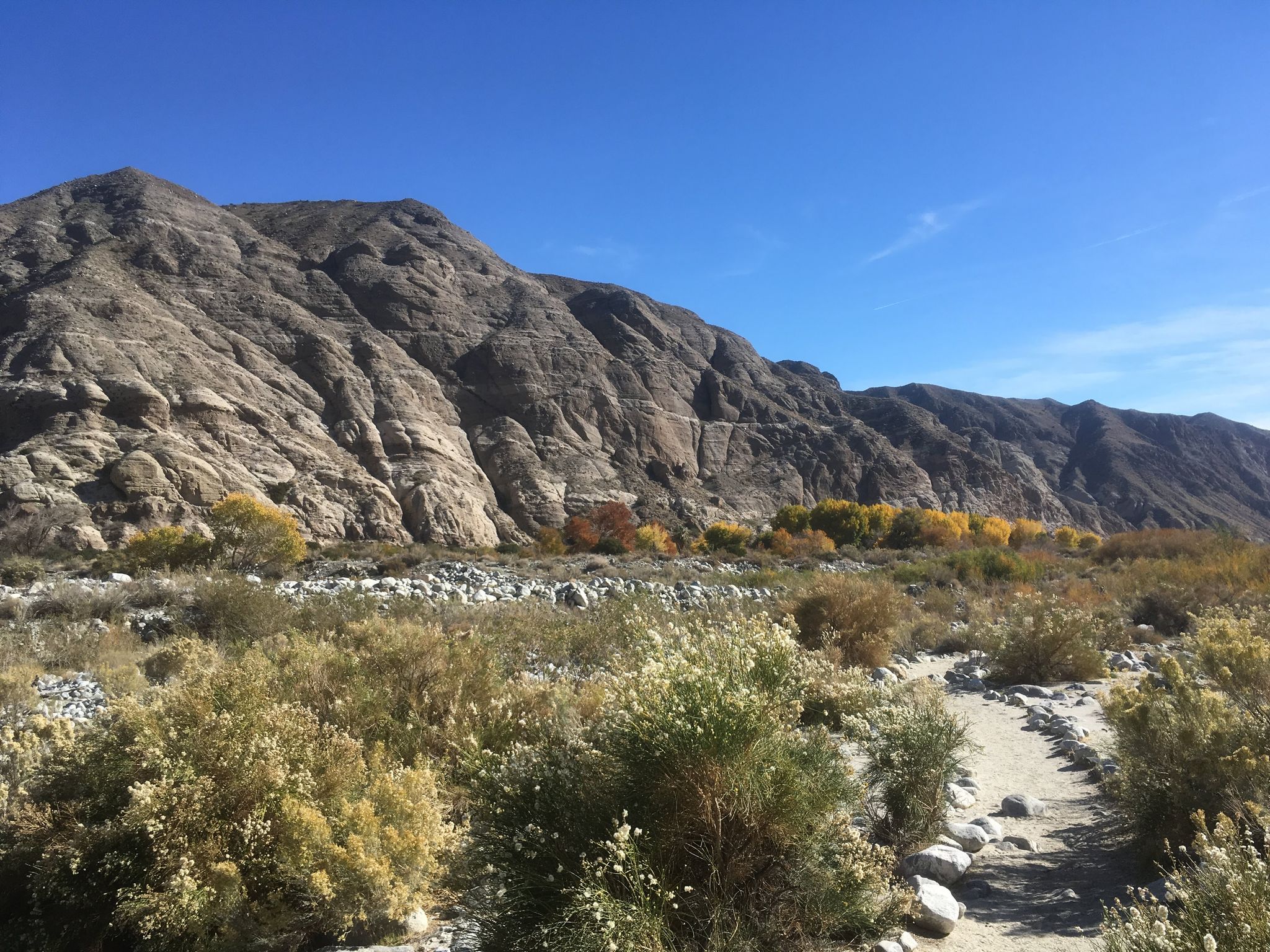 Hiking from Coachella Valley 10 Hikes for a Mild Adventure, Hike 3