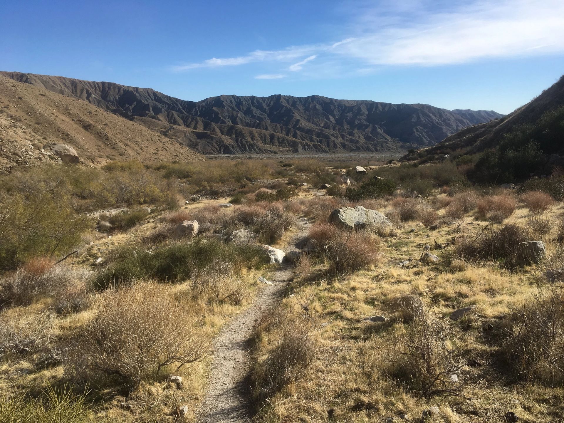 Hiking from Coachella Valley 10 Hikes for a Mild Adventure, Hike 3