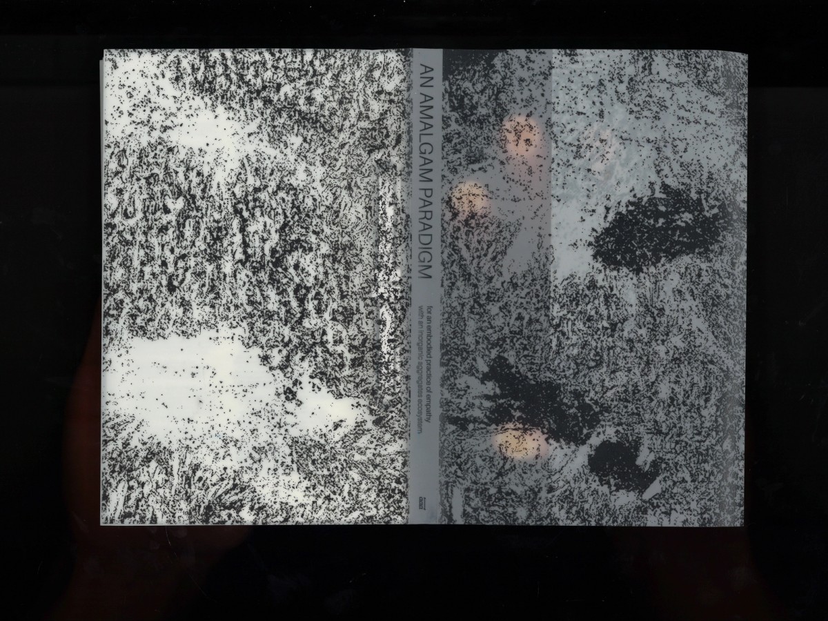 Alessio Pinton, An Amalgam Paradigm. 2024