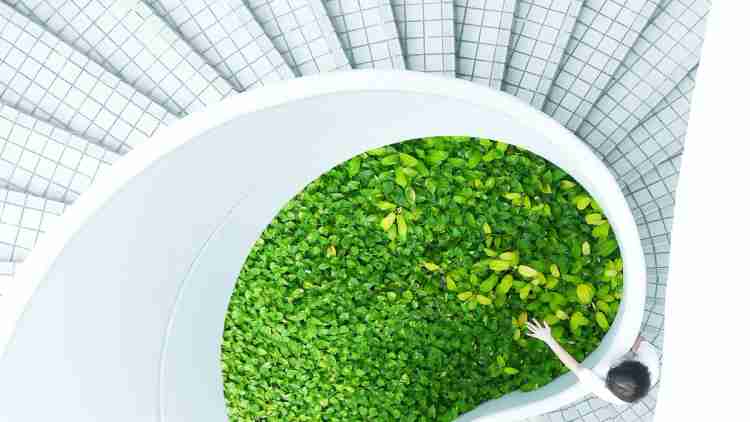 Espaços de Saúde Sustentáveis: Práticas e Benefícios