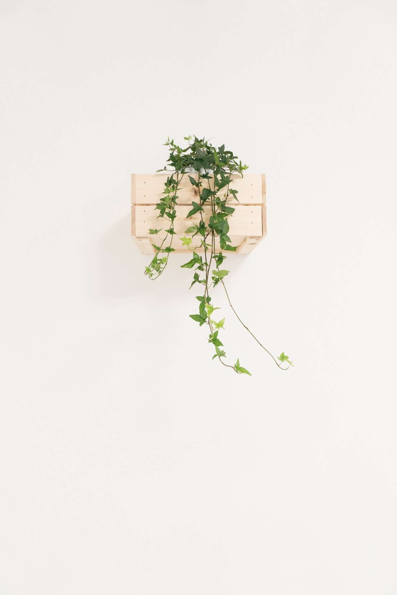 novas-tendencias-medd-design-news.546