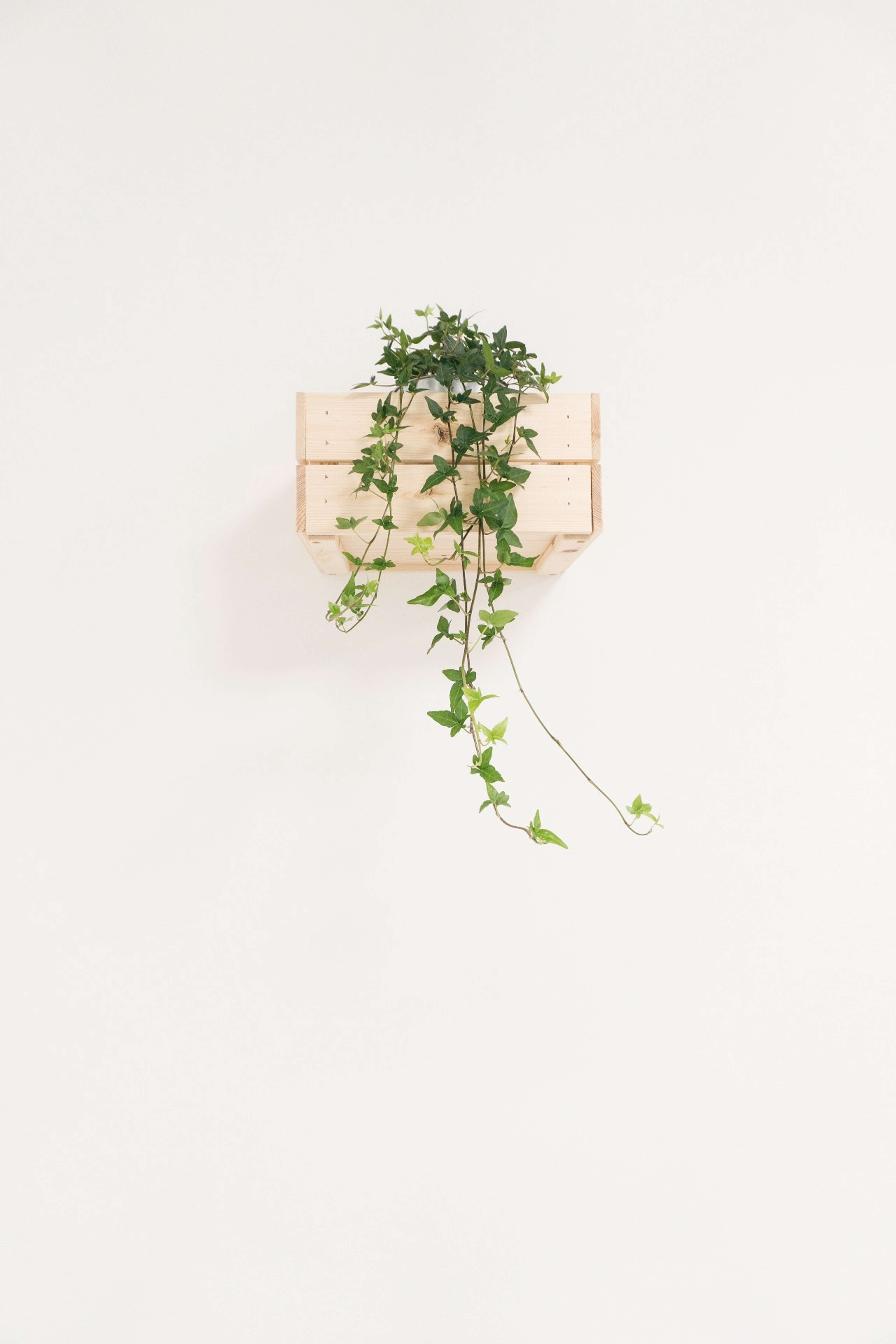 novas-tendencias-medd-design-news.546
