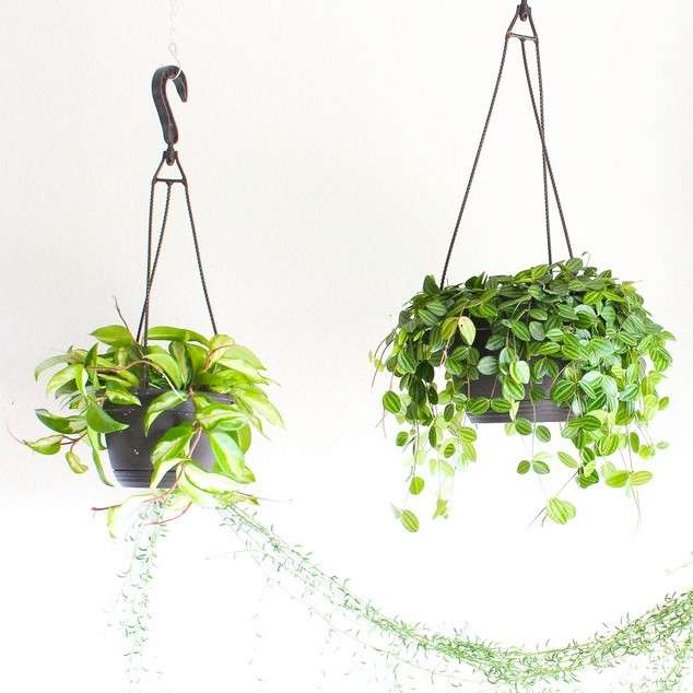 SPAÇO-NATURA-MEDD-DESIGN-2021-3