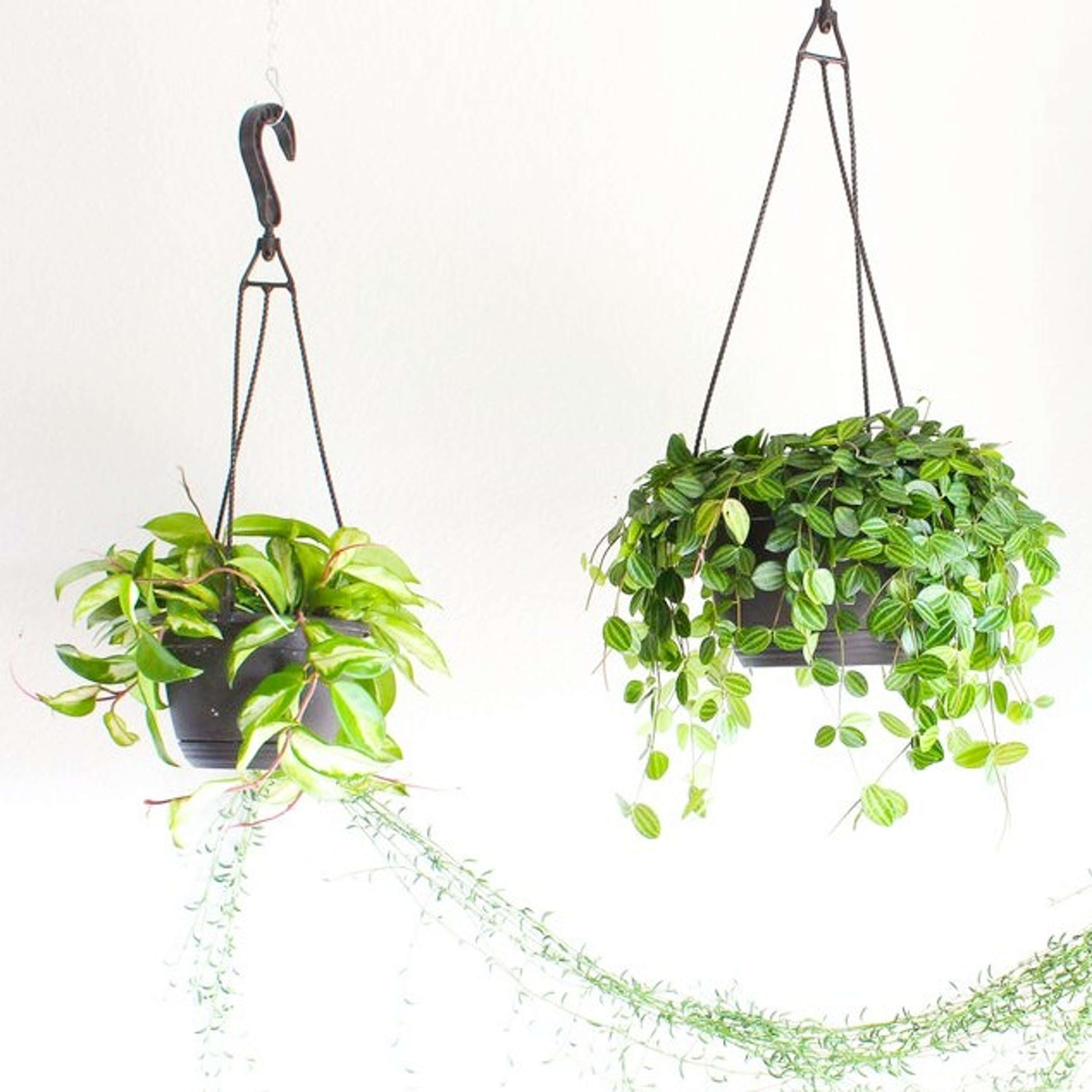 SPAÇO-NATURA-MEDD-DESIGN-2021-3