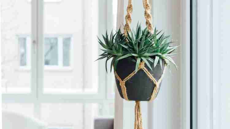 Discover the 5 basic principles of ecodesign!