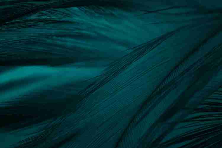 Por qué creemos que Pantone va a contracorriente y por qué el verde será el color de 2026