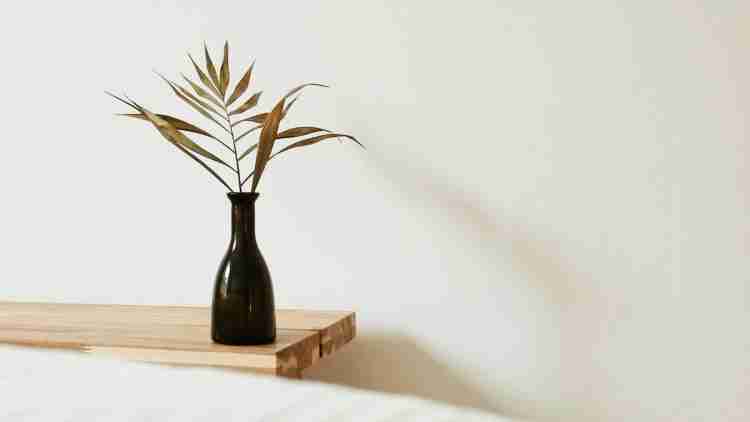 How to organize your pharmacy to achieve good Feng Shui?