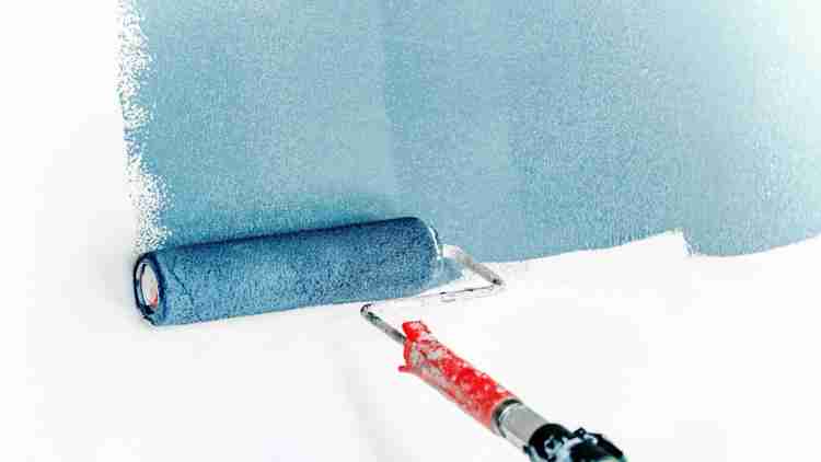 Neutre ou audacieux : 7 suggestions de couleurs