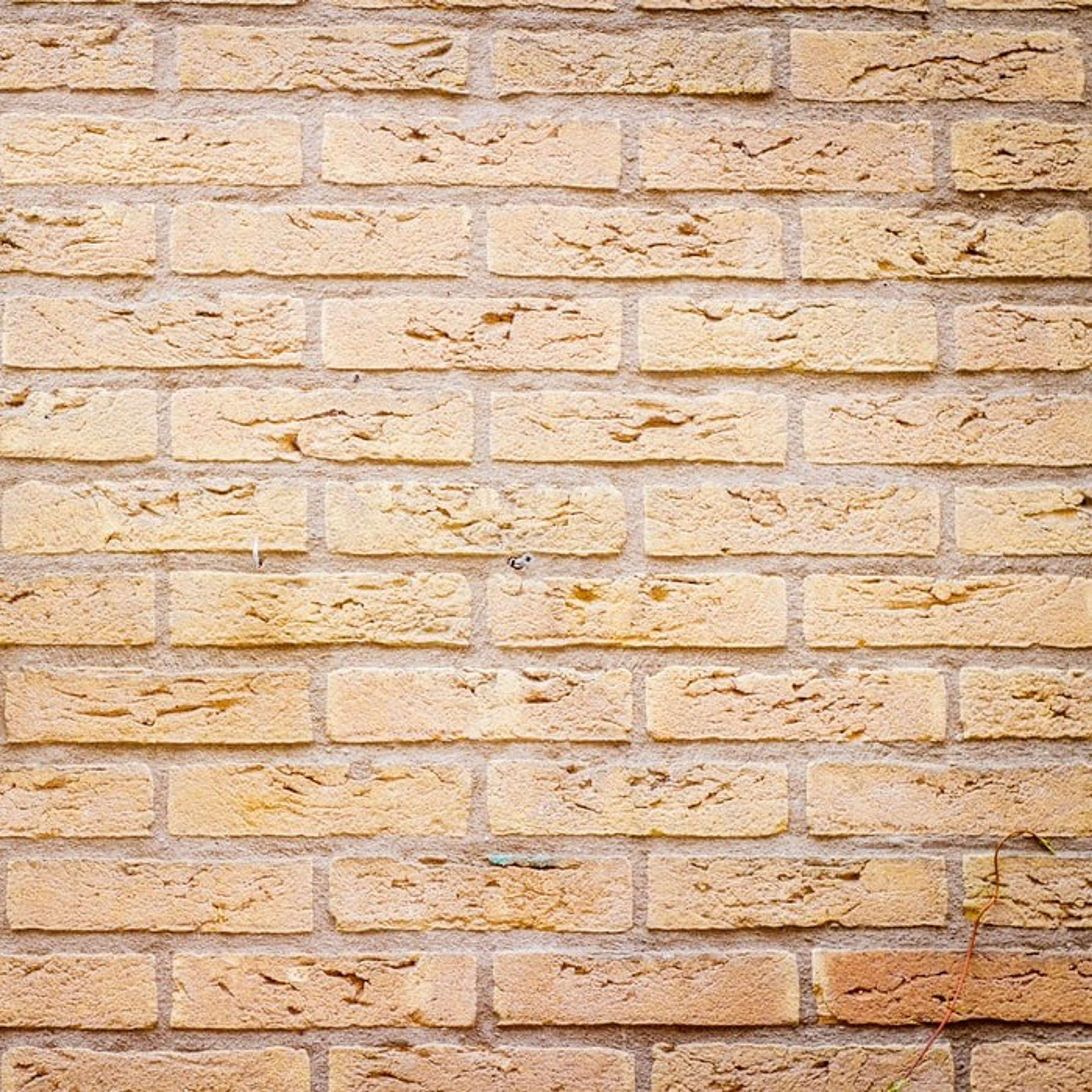 Murs texturés-medd-agencement-2021-4