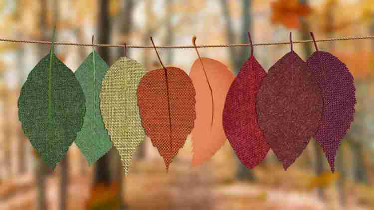 Autumn colors 2022: what are the trends this season?