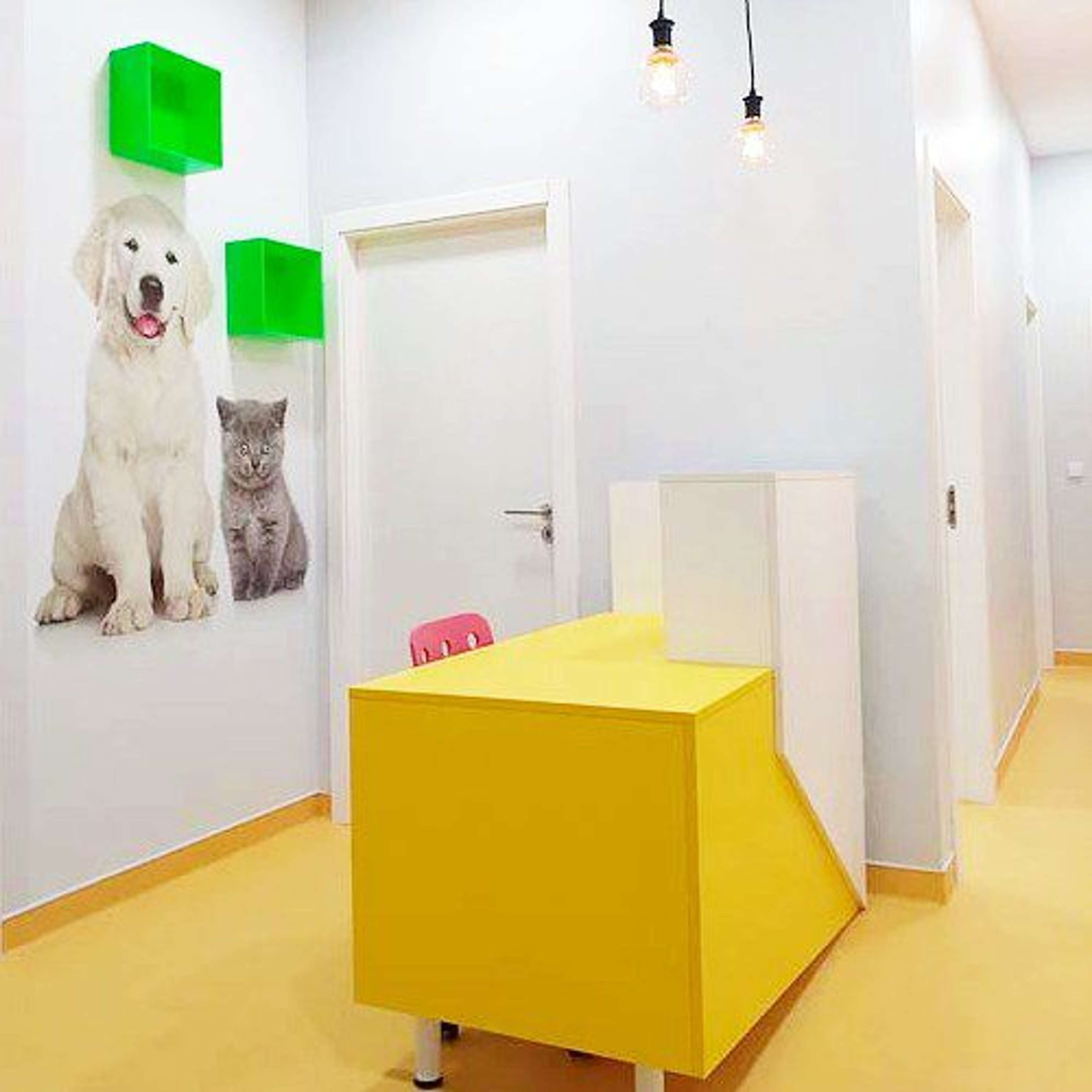 Gallery image 2