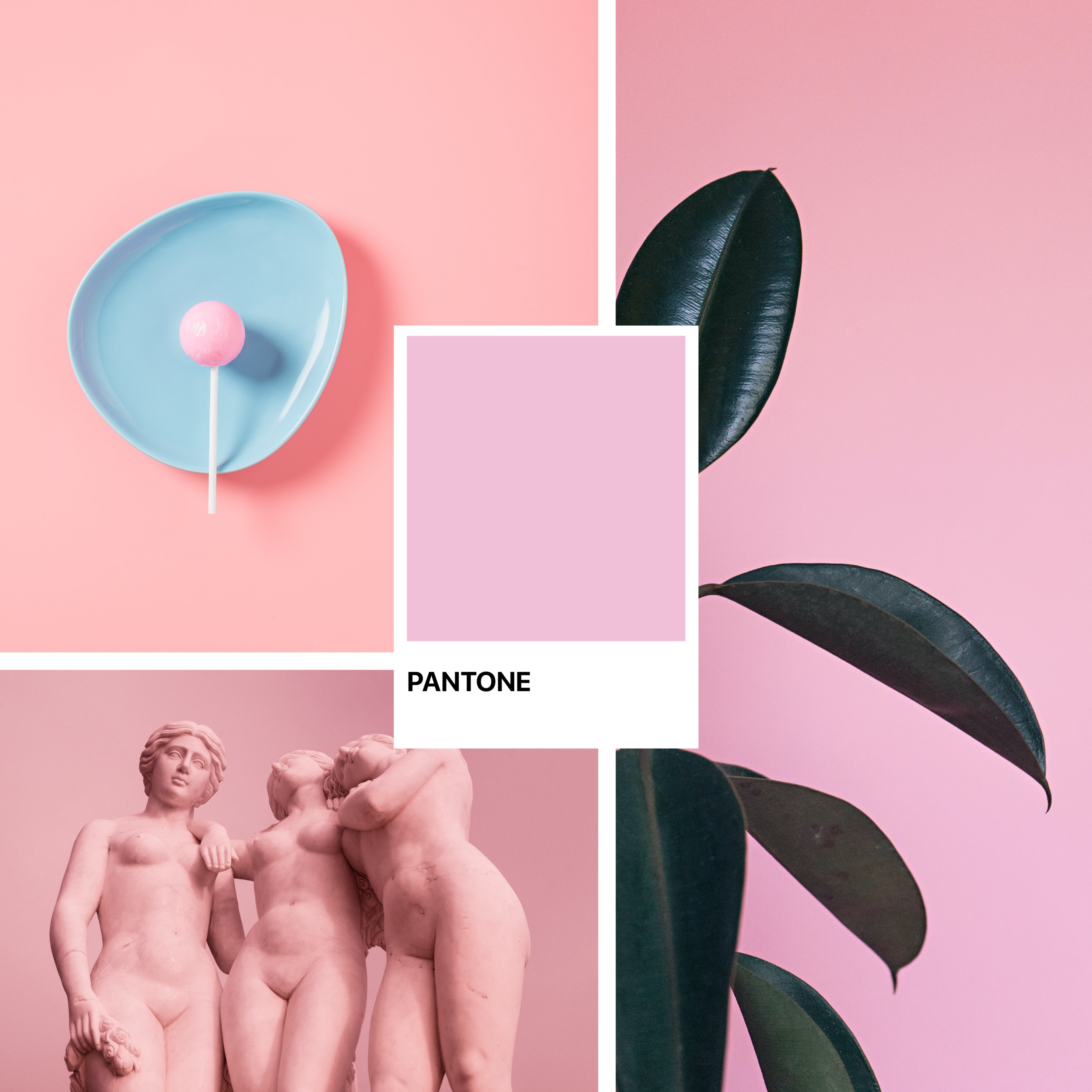 Cores-de-outono-medd-design-2022-blog (2)
