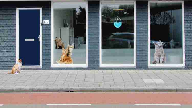 How to furnish a Veterinary Clinic?