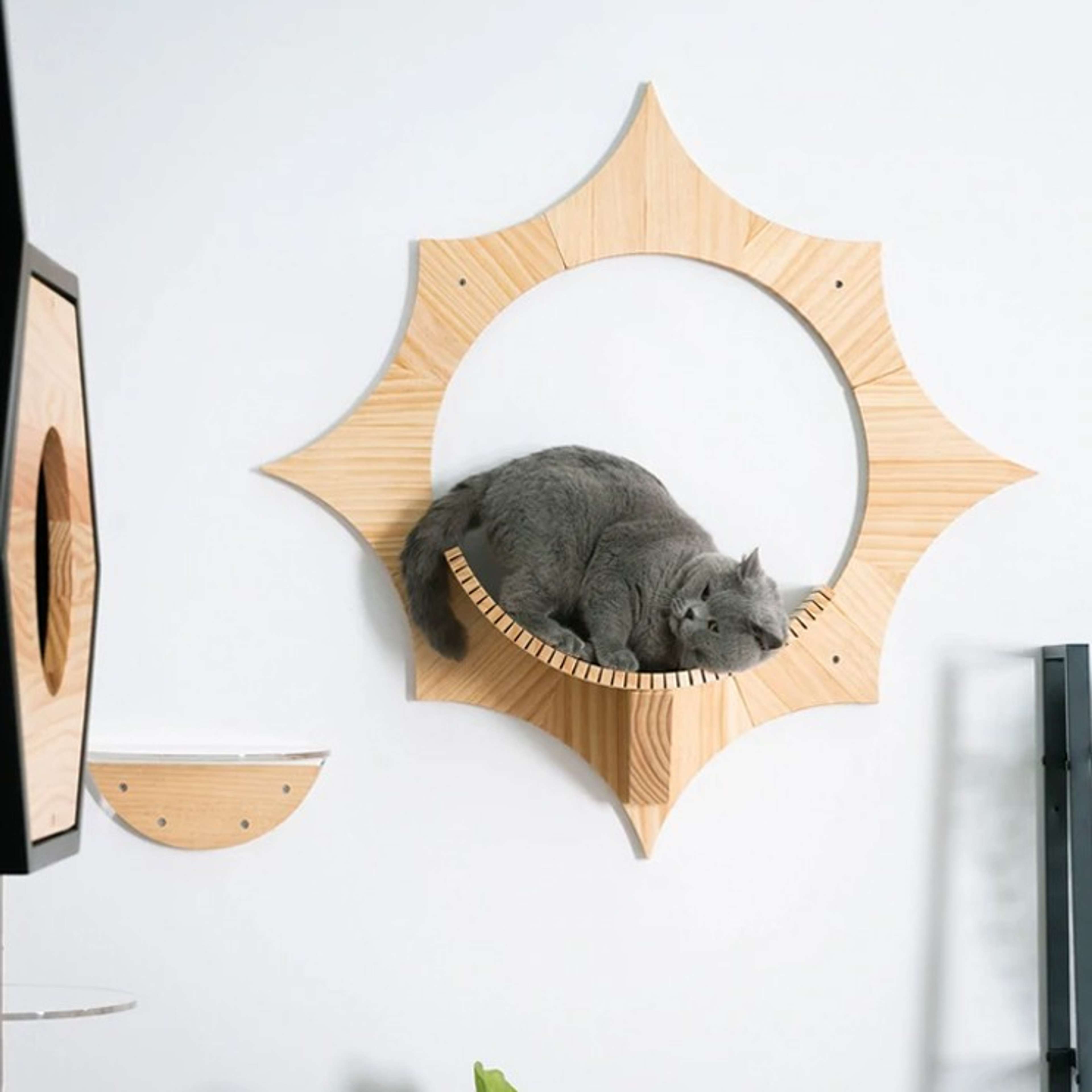 móveis para animais de estimação_03_myzoo_floatingcatshelf_medd_mention