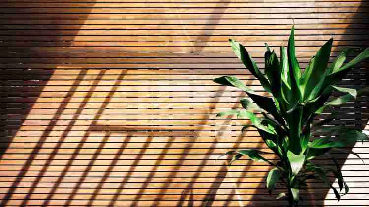 5 ways to use wood in pharmacy design