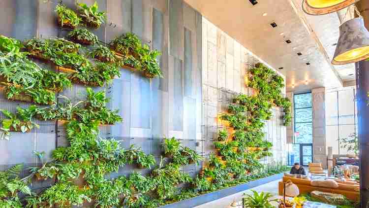 Biophilic Design: the outside in the inside