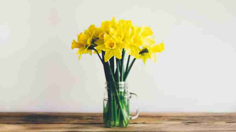 Spring 2022: discover the new decoration trends!