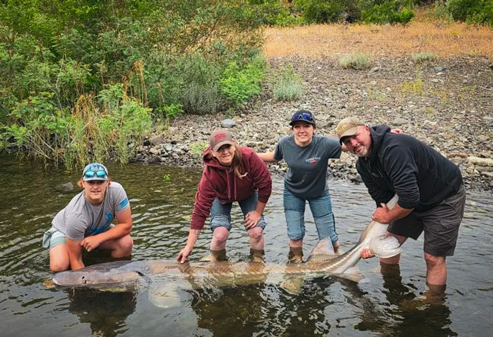 Sturgeon Fishing on Family Vacation