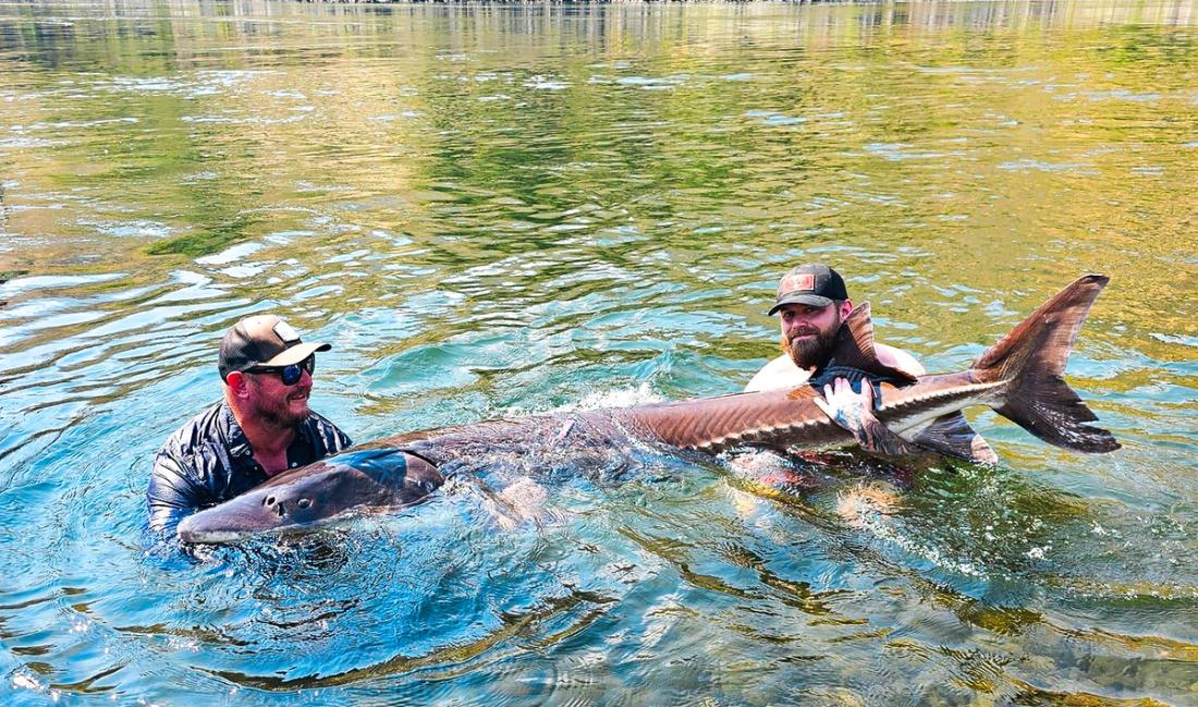 Sturgeon, Bass & Trout Fishing