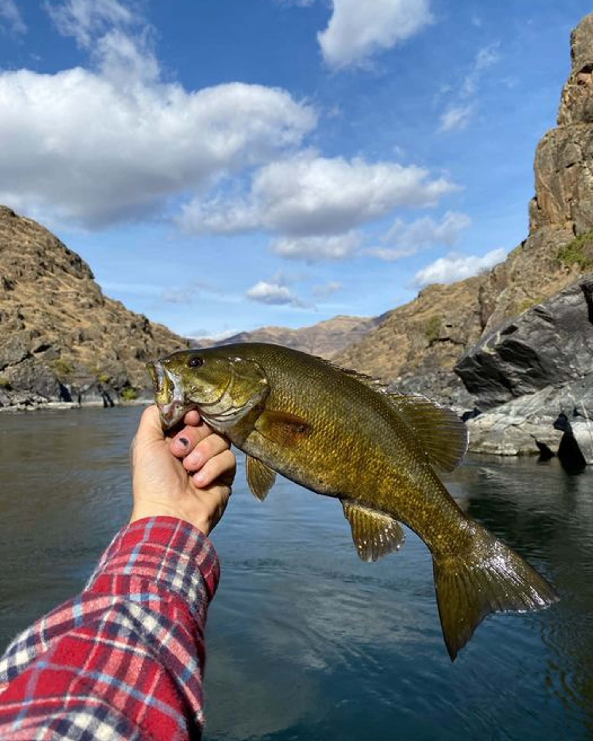 Haulin' Bass Fishing Tournament
