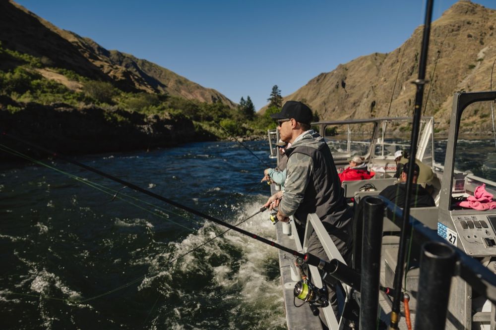 Canyon fishing on a guided Idaho charter